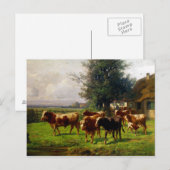 Adolf Chelius Cow Herd in Dachau Briefkaart (Voorkant / Achterkant)