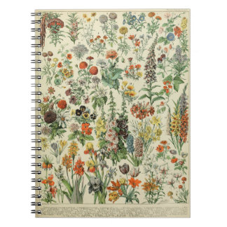Adolphe Fleurs Millot Motif-A Carnet