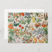 Adolphe Millot bloemen D Briefkaart (Voorkant / Achterkant)