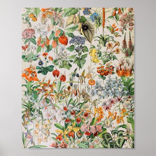 Adolphe Millot bloemen D Poster (Voorkant)