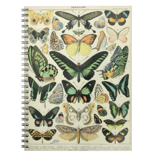 Adolphe Millot Butterflies Pattern-B Notitieboek