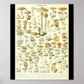 Adolphe Millot Champignon B Mushrooms Grafiek Poster (Voorkant)