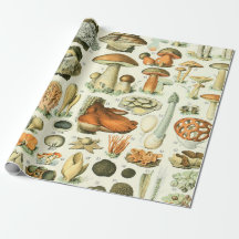 Adolphe Millot Champignon Mushroom Print