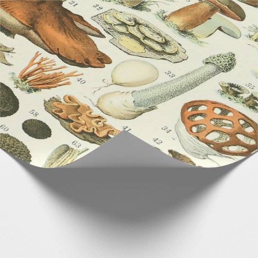 Adolphe Millot Champignon Mushroom Print Cadeaupapier (Hoek)