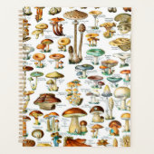 Adolphe Millot "Champignons" 3b (Devant)