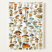 Adolphe Millot "Champignons" 3b (Dos)