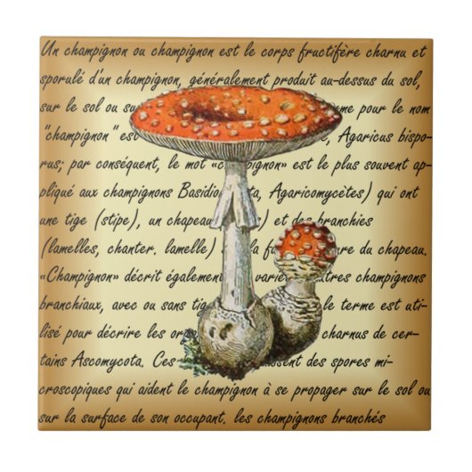 Adolphe Millot ~ Champignons-pour tous-fixate ~ Tegeltje (Voorkant)