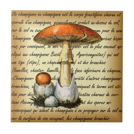 Adolphe Millot ~ Champignons-pour tous-fixate ~  Tegeltje (Voorkant)