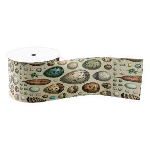 Adolphe Millot Dark Academia Vintage Vogel Ei Kuns Grosgrain Lint