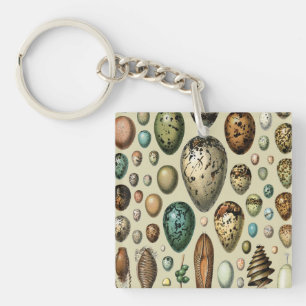 Adolphe Millot Donkere Academics Vintage Vogel Ei Sleutelhanger