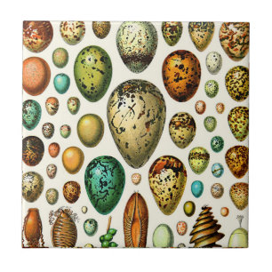 Adolphe Millot Egg Ceramics Tegeltje