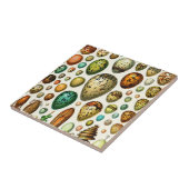 Adolphe Millot Egg Ceramics Tegeltje (Zijkant)