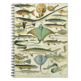Adolphe Millot Fish Pattern-A Notitieboek