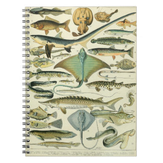 Adolphe Millot Fish Pattern-A Notitieboek