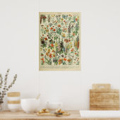 Adolphe Millot Fleurs Poster (Keuken)