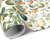 Adolphe Millot Fruit Pattern Cadeaupapier (Rol Hoek)