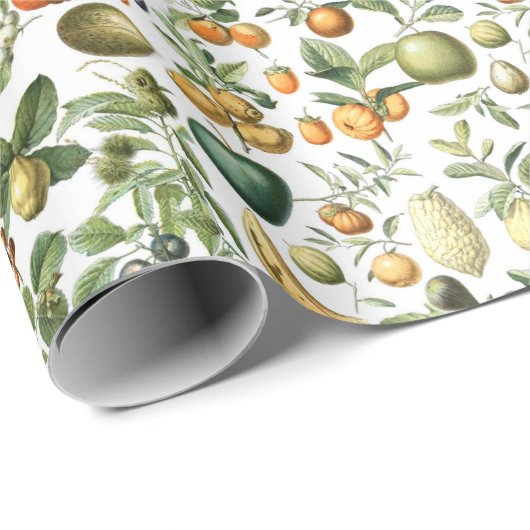 Adolphe Millot Fruit Pattern Cadeaupapier (Rol Hoek)