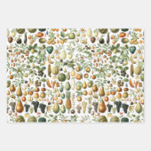 Adolphe Millot Fruit Pattern Inpakpapier Vel (Voorkant)