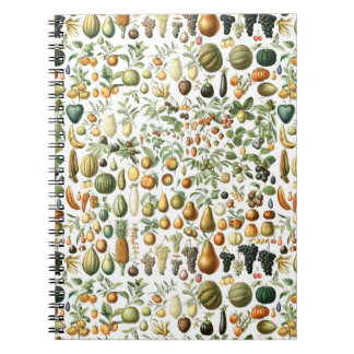 Adolphe Millot Fruit Pattern Notitieboek