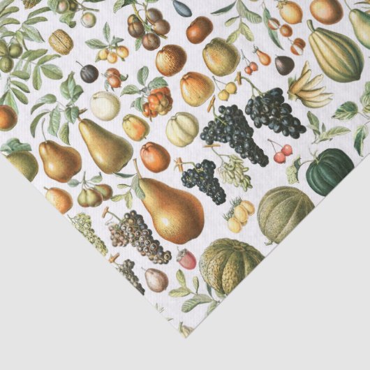 Adolphe Millot Fruit Pattern Tissuepapier (Detail)