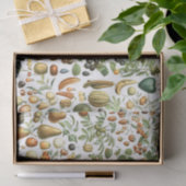 Adolphe Millot Fruit Pattern Tissuepapier (Geschenk)