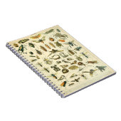 Adolphe Millot Insects Pattern-C Notitieboek (Rechterzijde)