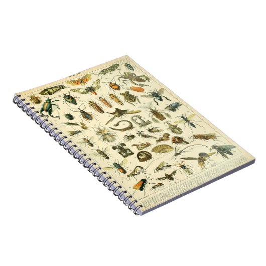 Adolphe Millot Insects Pattern-C Notitieboek (Rechterzijde)
