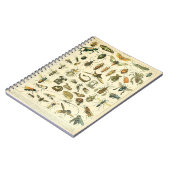 Adolphe Millot Insects Pattern-C Notitieboek (Linkerzijde)