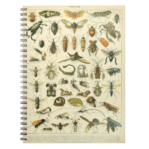 Adolphe Millot Insects Pattern-C Notitieboek