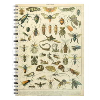 Adolphe Millot Insects Pattern-C Notitieboek