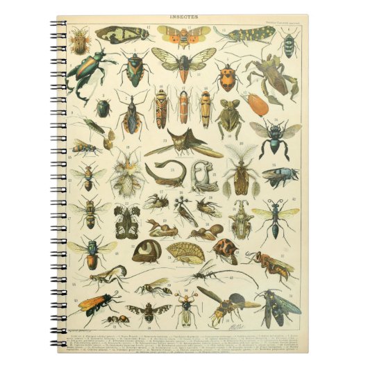 Adolphe Millot Insects Pattern-C Notitieboek (Voorkant)