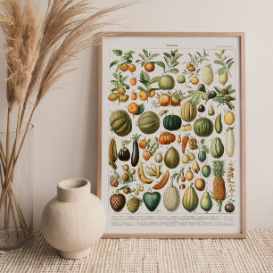 Adolphe Millot maakt Canvas Print