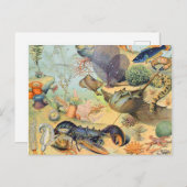 Adolphe Millot oceaan B Briefkaart (Voorkant / Achterkant)