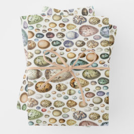 Adolphe Millot Ouefs Eggs Inpakpapier Vel