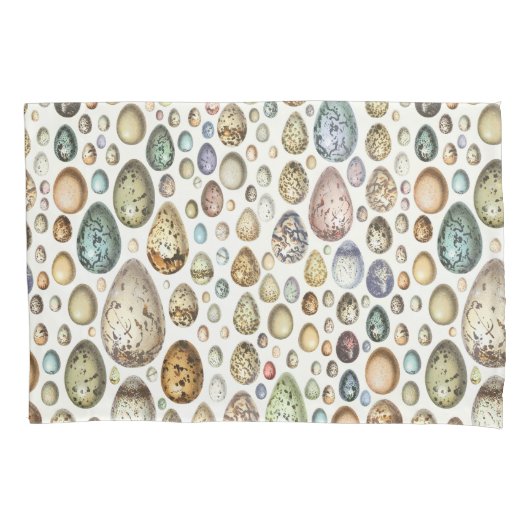 Adolphe Millot Ouefs Eggs Kussensloop (Voorkant)