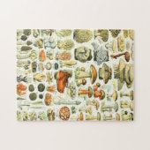 Adolphe Millot paddenstoel Legpuzzel (Horizontaal)