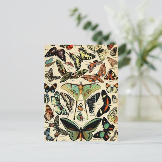 Adolphe Millot Papillons Briefkaart (Staand voorkant)