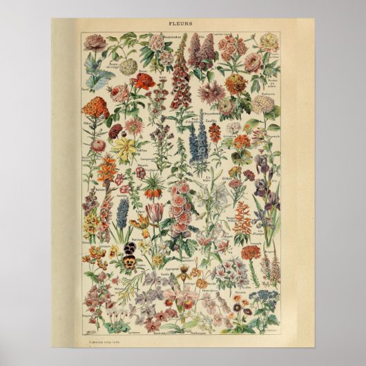  Adolphe Millot Print Flowers (Voorkant)