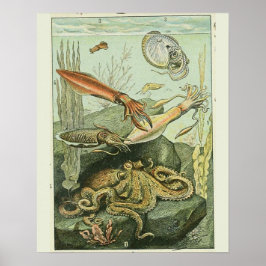  Adolphe Millot Print weekdierpatroon