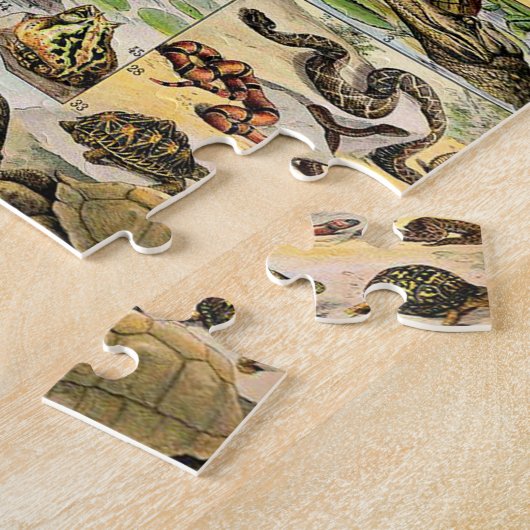 Adolphe Millot Reptiles 1 Puzzle (Côté)