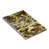 Adolphe Millot Reptiles 2 Carnets (Côté Droit)