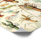 Adolphe Millot schaalaces Poster (Hoek)