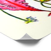 Adolphe Millot ~ Seaweed Poster (Hoek)