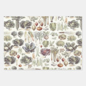 Adolphe Millot Vegetable Pattern Inpakpapier Vel (Voorkant)