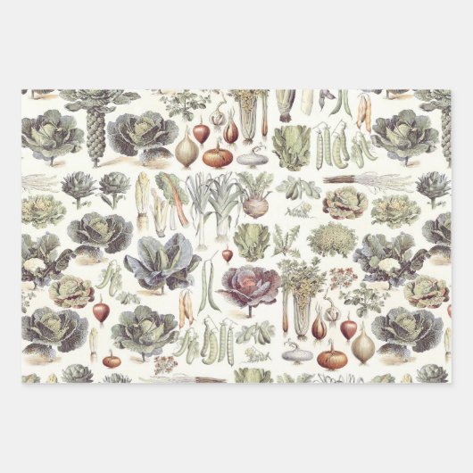 Adolphe Millot Vegetable Pattern Inpakpapier Vel (Voorkant)