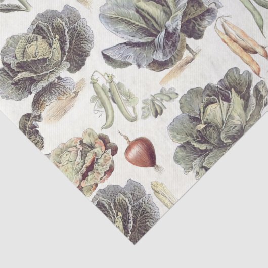 Adolphe Millot Vegetable Pattern Tissuepapier (Detail)
