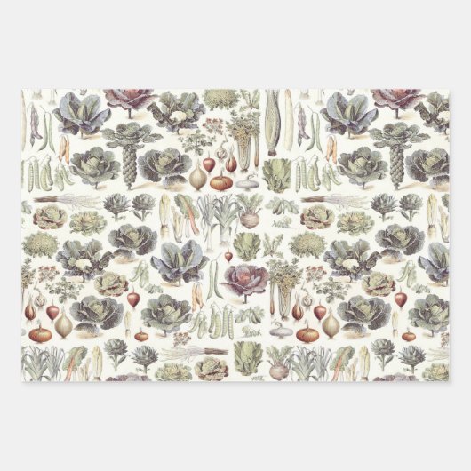 Adolphe Millot Vegetable Pattern Wrapping Paper Sh (Voorkant 3)