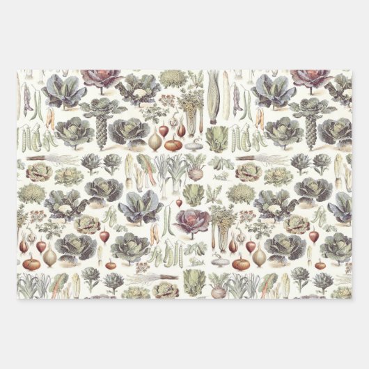 Adolphe Millot Vegetable Pattern Wrapping Paper Sh (Voorkant 2)