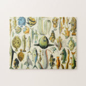 Adolphe Millot vissen A Legpuzzel (Horizontaal)