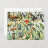 Adolphe Millot vogels A Briefkaart (Voorkant / Achterkant)